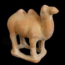 Terracotta figure of a camel